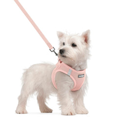 Arnés Rabbitgoo paso para perro pequeño en rosa cómodo y fácil de colocar