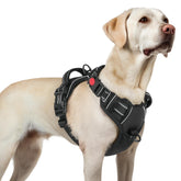 Arnés Rabbitgoo para perro con ajuste de cuatro correas, ideal para paseos cómodos.