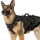Arnés Rabbitgoo con asa grande para levantar con seguridad al perro