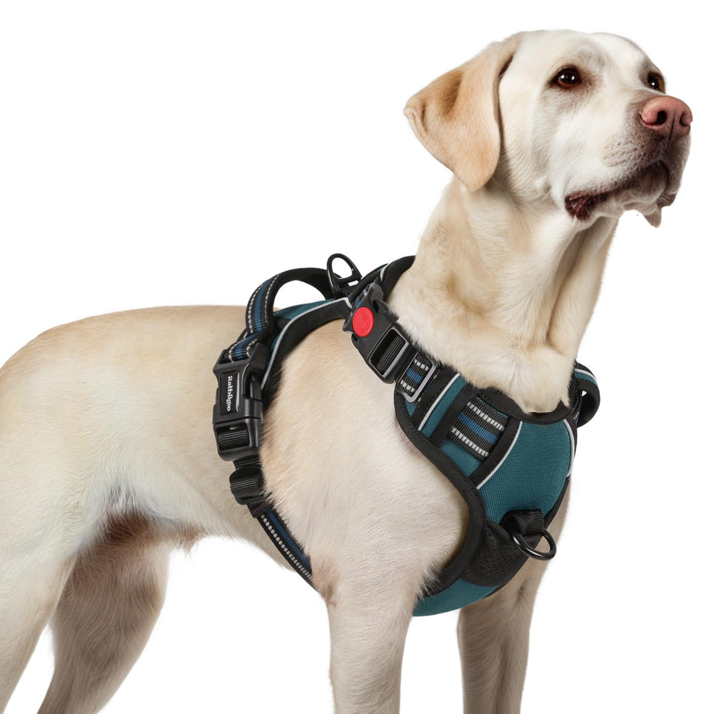 Arnés Rabbitgoo para perro grande con ajuste seguro en azul coral
