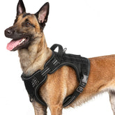 Arnés Rabbitgoo para perros grandes con ajuste amplio para comodidad diaria.