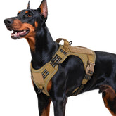 Arnés rabbitgoo para perro grande con clip frontal para evitar tirones.