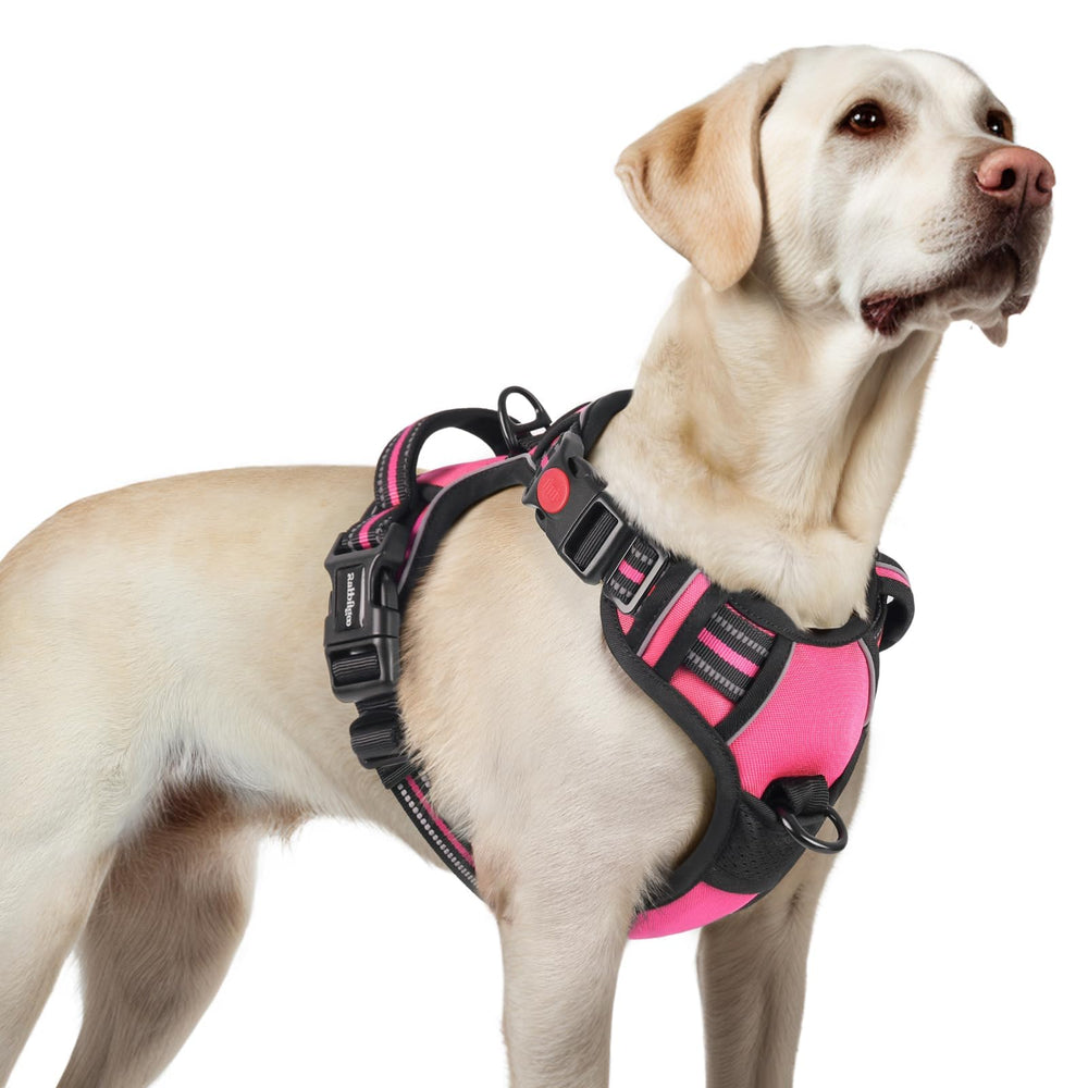 Arnés Rabbitgoo para perro grande con tres hebillas para ajuste seguro.