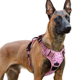 Arnés Rabbitgoo para perros grandes con tres hebillas, ajuste seguro para paseos