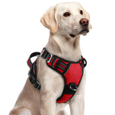 arnés rabbitgoo para perros grandes con tres hebillas para colocar rápido y seguro