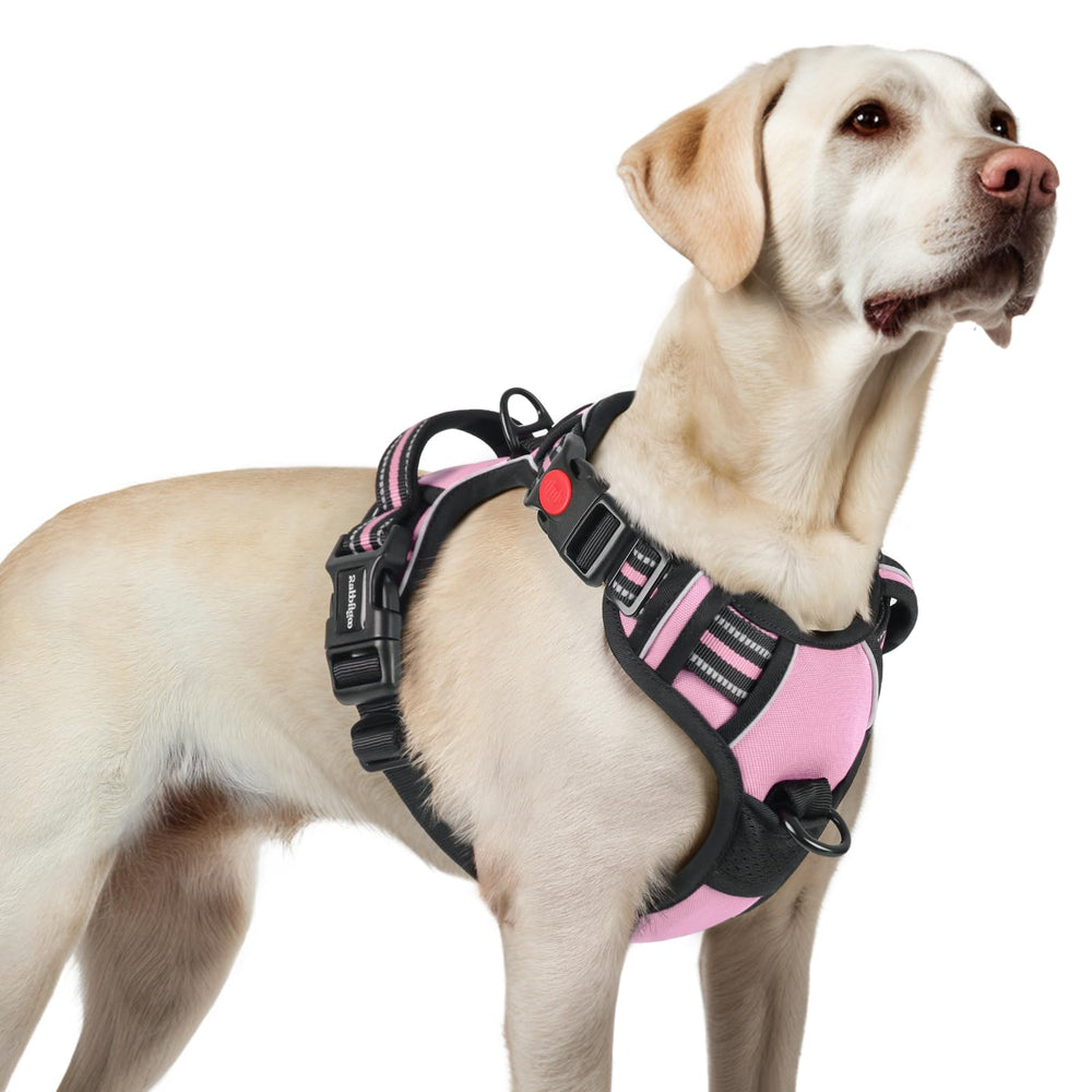 Arnés Rabbitgoo para perros grandes con tres hebillas para ponérselo fácilmente durante paseos.