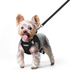Arnés Rabbitgoo para perro XS, paso fácil para paseos cómodos