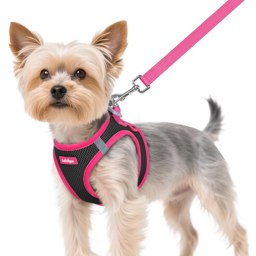 Arnés Rabbitgoo para perro pequeño con ajuste preciso para paseos cómodos.