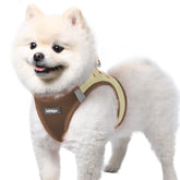 Arnés rabbitgoo para perro pequeño con malla de aire suave