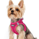 Arnés Rabbitgoo para perro pequeño en rosa de malla suave, ideal para paseos cómodos.