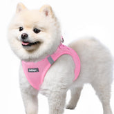 Arnés Rabbitgoo para perro pequeño con malla suave, cómodo para salidas prolongadas.
