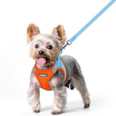 Arnés Rabbitgoo para perro pequeño paso a paso, cómodo y seguro para paseos.