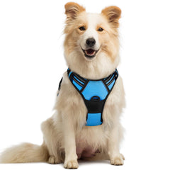 Arnés Rabbitgoo sin tirones en azul clásico para paseos seguros.