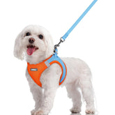 Rabbitgoo arnés para perro talla M con paso de entrada, cómodo para paseos diarios.