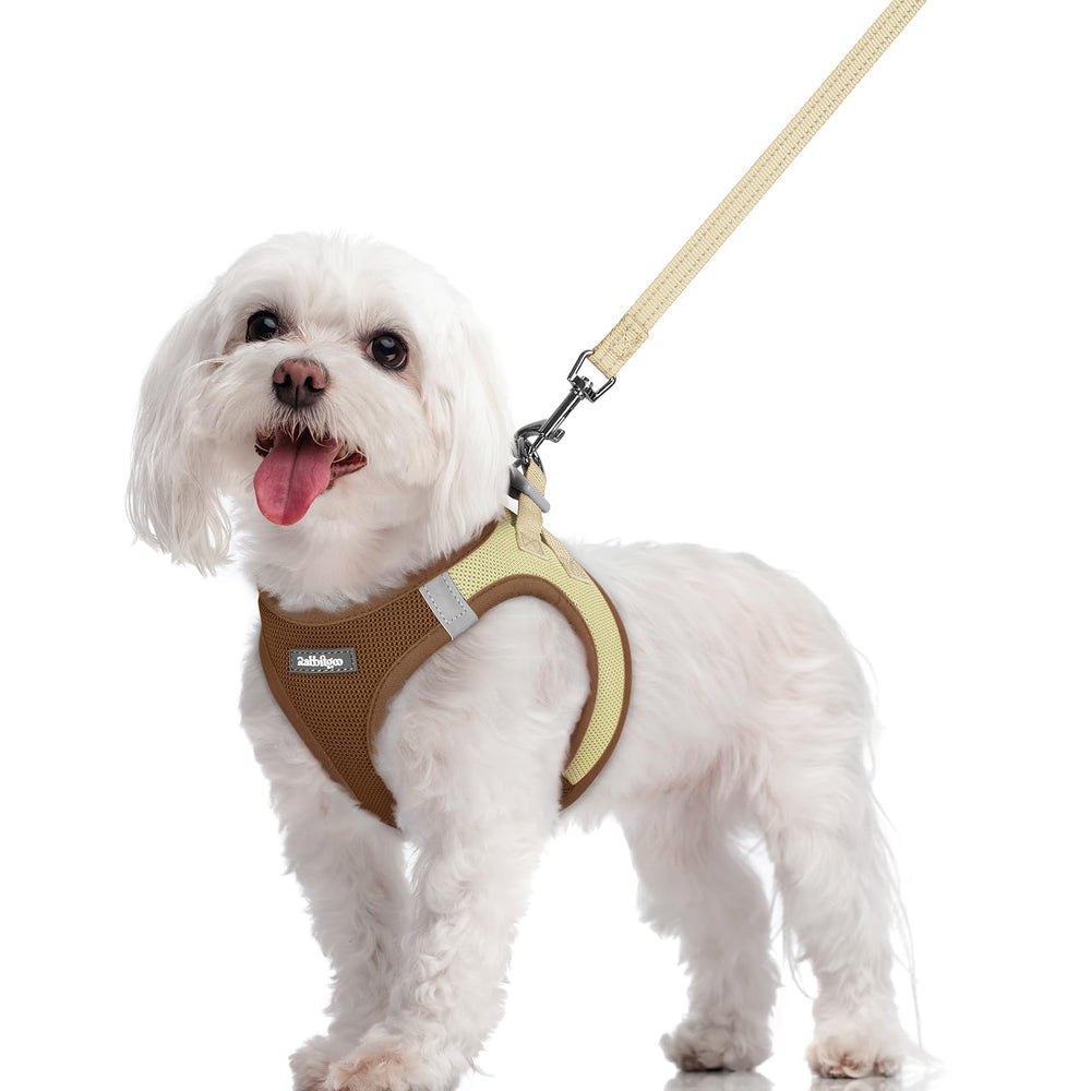 Arnés Rabbitgoo talla M para perros con paso fácil para ponérselo.