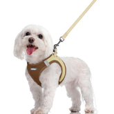 Arnés Rabbitgoo talla M para perros con paso fácil para ponérselo.