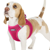rabbitgoo arnés para perro pequeño, vista frontal, comodidad para paseos diarios.
