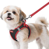Arnés Rabbitgoo para perro S con ajuste rápido para paseos cómodos.
