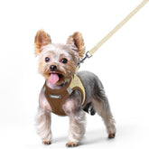 Arnés Rabbitgoo para perro XS con ajuste ergonómico para paseos cómodos.