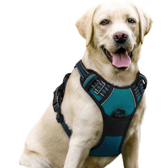 Arnés Rabbitgoo sin tirón con dos anillos de correa para mayor control durante paseos.