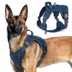 Arnés táctico Rabbitgoo para perro grande visto de dorso, ajuste cómodo y seguridad para paseos.