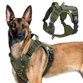 Arnés táctico rabbitgoo para perro grande, vista frontal, cómodo y seguro para paseos.