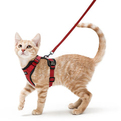 Arnés Rabbitgoo para gatos, ligero y transpirable para paseos cómodos al exterior.