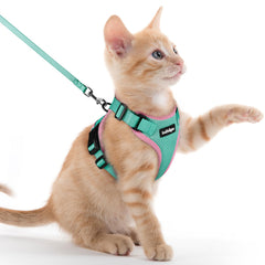 Arnés para gatos Rabbitgoo con malla transpirable para paseos cómodos.