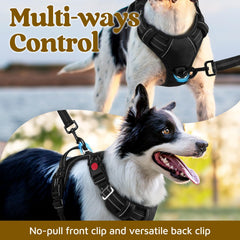 Mango de control superior para un manejo firme durante las caminatas.