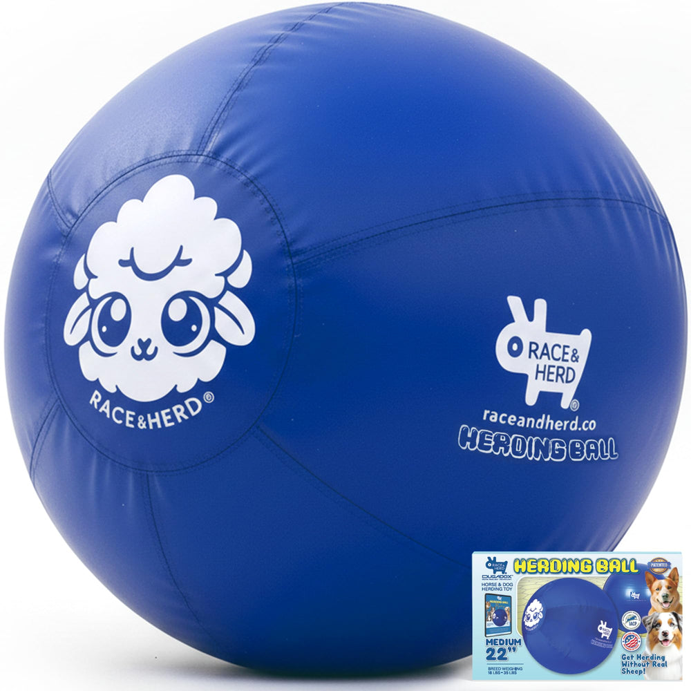 Race&Herd balón XXL azul ideal para juego al aire libre