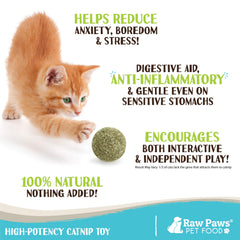 Raw Paws Balles d'Herbe à Chat – emballage visible, pratique pour ranger et transporter.