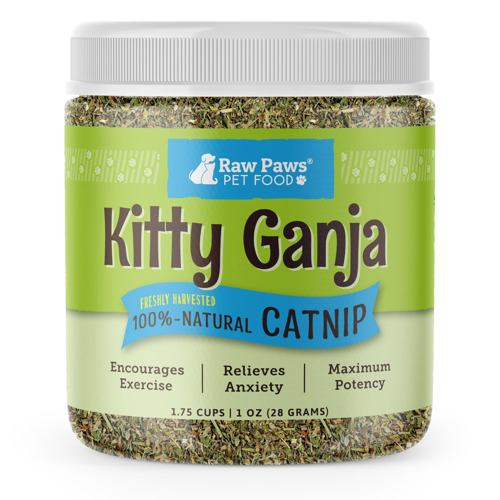 Raw Paws Catnip dans un bocal refermable, fraîcheur préservée pour remplir les jouets.