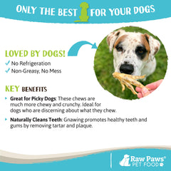 Raw Paws, limpieza dental al masticar estas patas de pollo secas.