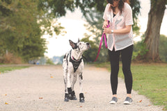 RC Pets Momentum Control Harness incluye una manija de control integrada para respuestas rápidas.