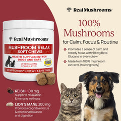 Real Mushrooms Calming Chews para gato, calma en casa.