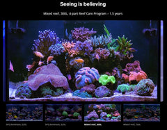 Red Sea RCP Parte 3, potasio y yodo para color y vitalidad.