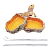 Reptile Growth cuenco comida reptil, ideal para alimentar con precisión.