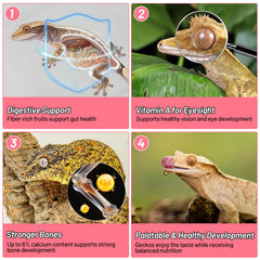 Preparación fácil: mezclar REPTIZOO FRIENDLY con agua para alimentar