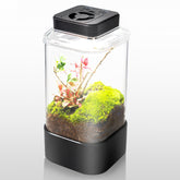 REPTI ZOO Terrario con luz de diodos ajustable para iluminación adecuada