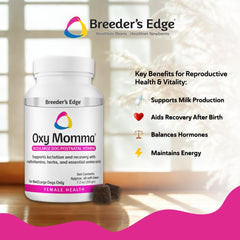 Mamás perro lactante con Breeder's Edge Oxy Momma, apoyo a la recuperación posparto.