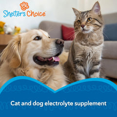 Shelter’s Choice sabor pollo incentiva beber y facilita la hidratación de mascotas