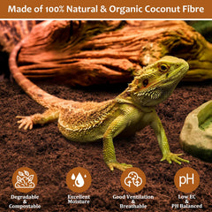 Riare bloques biodegradables de coco, listos para compostaje en jardín.
