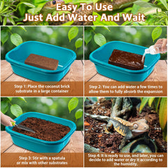 Riare bloques de coco expanden al remojar, creando sustrato suave y esponjoso.