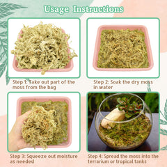 Riare Musgo Sphagnum para cama en terrarios del bosque.