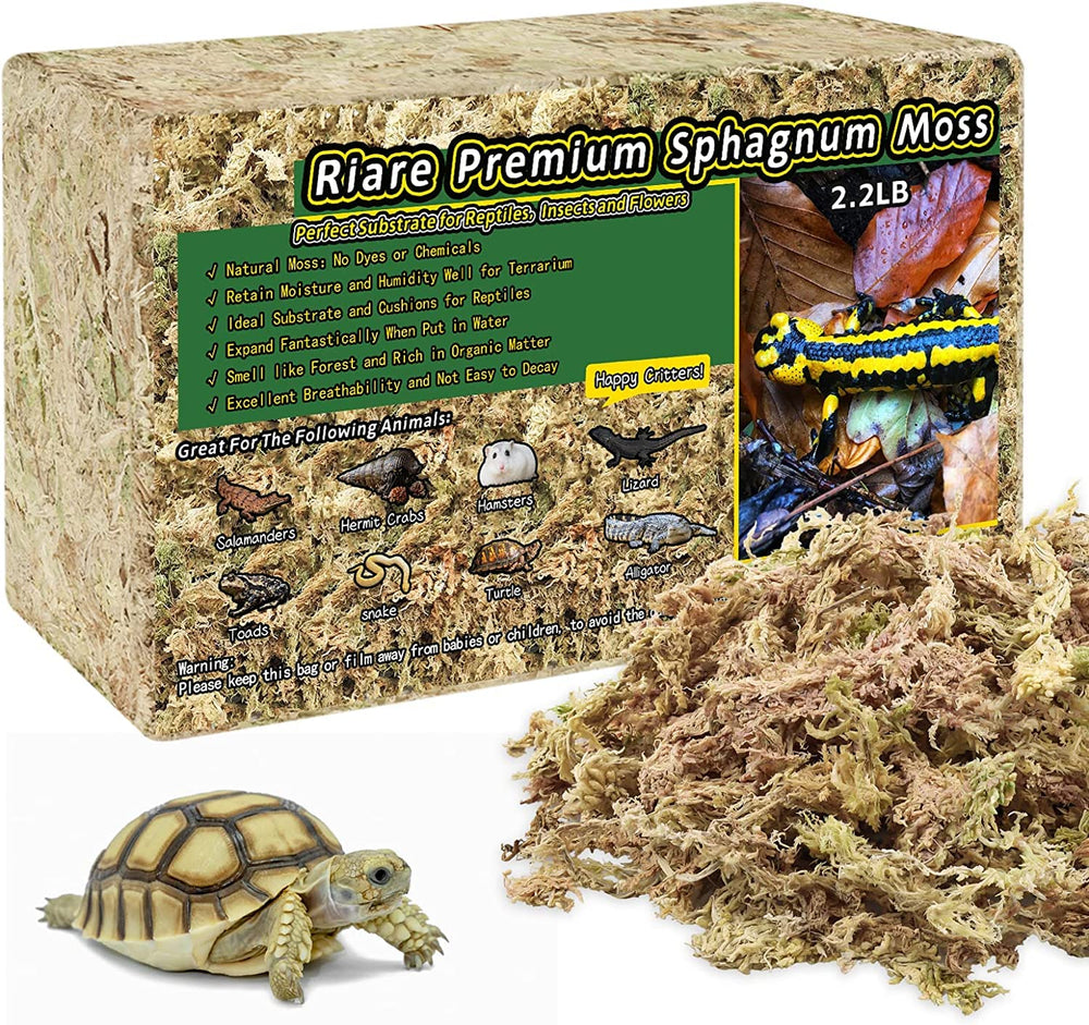 Riare musgo sphagnum natural en empaque, listo para preparar terrarios