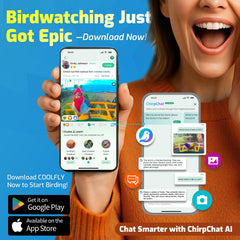 RichBird alimentador colibri diseno anti-derrames para evitar perdidas.