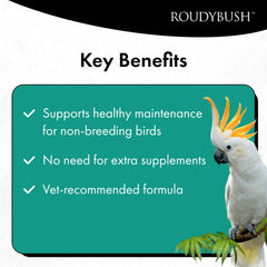 RoudyBush Alimento Diario: primer plano de ingredientes clave.