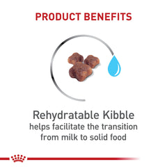 Royal Canin antioxidantes vitaminas E y C, favorecen desarrollo inmune en gatitos.