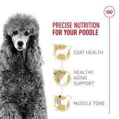 Royal Canin Poodle Adult, proteína para mantener músculos sanos.