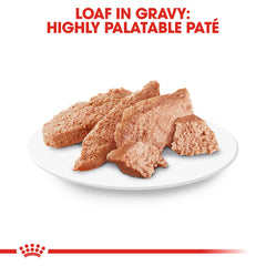 Royal Canin Chihuahua pate-en-salsa: textura suave para gusto selecto.